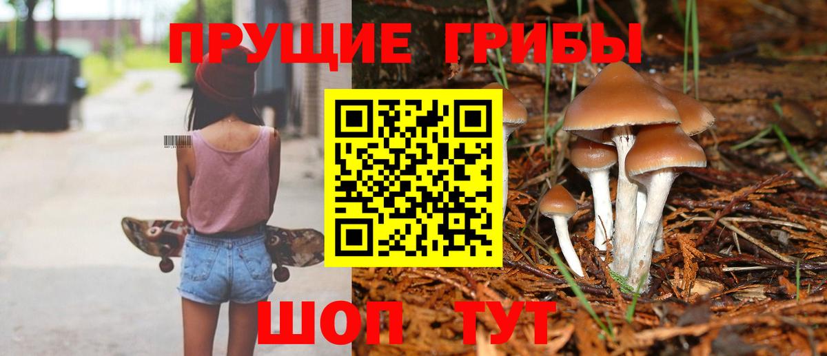 Галлюциногенные грибы Cubensis Гай