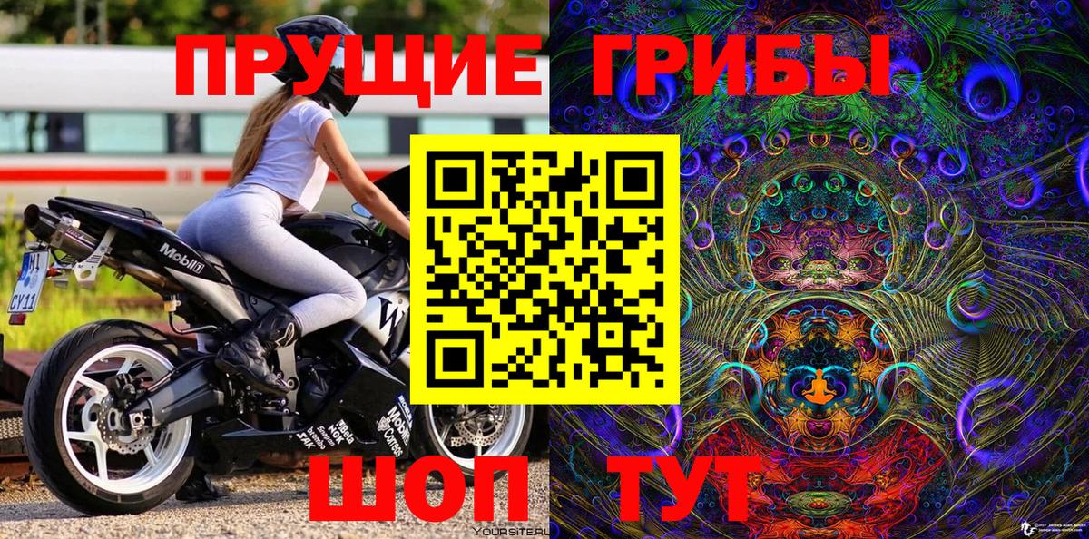 Галлюциногенные грибы MAGIC MUSHROOMS  даркнет сайт  Гай  Вход с VPN 